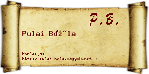 Pulai Béla névjegykártya
